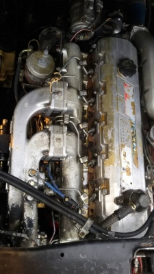 ขายแล้วครับ. ขายแล้วครับ.