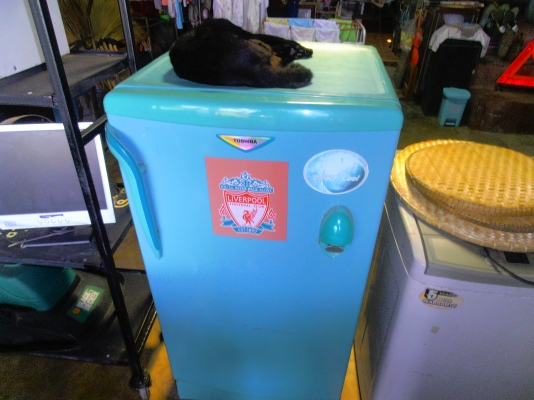 ตู้เย็น TOSHIBA 5 คิว สภาพดี เย็นทันใจใช้งานได้ปกติทุกอย่าง