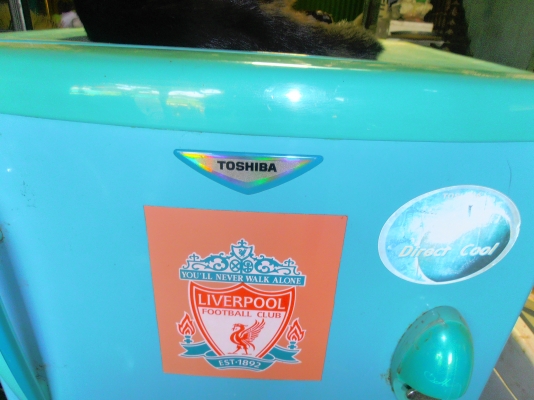 ตู้เย็น TOSHIBA 5 คิว สภาพดี เย็นทันใจใช้งานได้ปกติทุกอย่าง ตู้เย็น TOSHIBA 5 คิว สภาพดี เย็นทันใจใช้งานได้ปกติทุกอย่าง