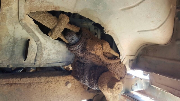 ขาย 6 ล้อ หัวยาวดั้ม คัสซีสวยตลอดเส้น เครื่อง EH700 168 แรงม้า เกียร์ร็อคกี้ เฟืองท้ายใหญ่จัมโบ้ คานหน้าใหญ่ พวงมาลัยพาวเวอร์ ยางใหม่ทั้ง 6 เส้น ทะเบียนพร้อมโอน ขาย 6 ล้อ หัวยาวดั้ม คัสซีสวยตลอดเส้น เครื่อง EH700 168 แรงม้า เกียร์ร็อคกี้ เฟืองท้ายใหญ่จัมโบ้ คานหน้าใหญ่ พวงมาลัยพาวเวอร์ ยางใหม่ทั้ง 6 เส้น ทะเบียนพร้อมโอน