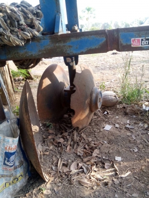 ขายพานสับใบอ้อยใส่รถไถ 50 แรงขึ้นไป ขายพานสับใบอ้อยใส่รถไถ 50 แรงขึ้นไป