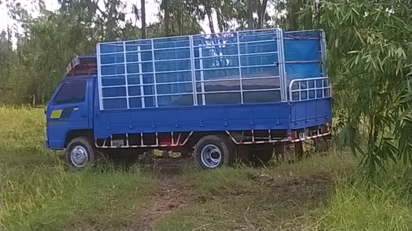 ขายรถบรรทุก6ล้อ อีซูซุ ขายรถบรรทุก6ล้อ อีซูซุ