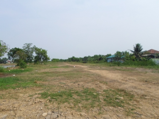 ขายด่วน 16 ไร่ (ติดถนนใหญ่)หนองจอก กทม.