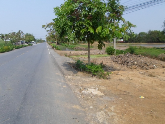 ขายด่วน 16 ไร่ (ติดถนนใหญ่)หนองจอก กทม.