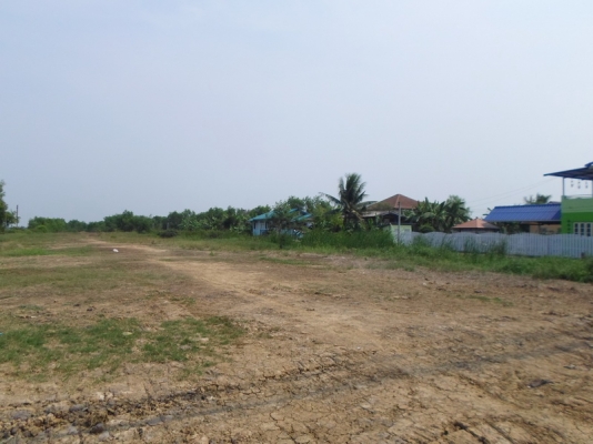 ขายด่วน 16 ไร่ (ติดถนนใหญ่)หนองจอก กทม.