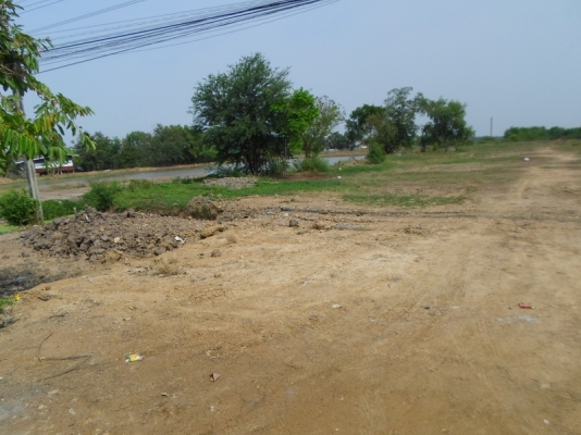 ขายด่วน 16 ไร่ (ติดถนนใหญ่)หนองจอก กทม.