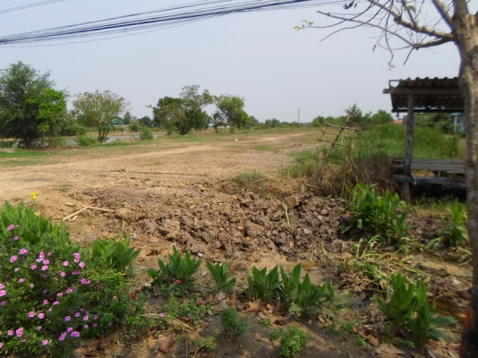 ขายด่วน 16 ไร่ (ติดถนนใหญ่)หนองจอก กทม.