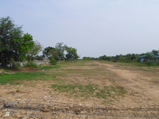 ขายด่วน 16 ไร่ (ติดถนนใหญ่)หนองจอก กทม.