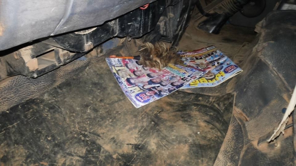 **360,000 บ.ต่อรอง/// 6ล้อบรรทุก ISUZU NPR-115 Turbo ประกอบ ช่วงล่างใหญ่ Fหน้า-หลัง กระบะคอกไม้เกษตรสูง สภาพพร้อมลุย **ขาย ISUZU NPR-115 เทอโบ รถประกอบ 6ล้อบรรทุก ช่วงล่างใหญ่ คอกไม้สูง พร้อมลุย เล่มทะเบียน ครับ ISUZU NPR59L 4BD1-Turbo เกียร์สั้น ประกอบปี