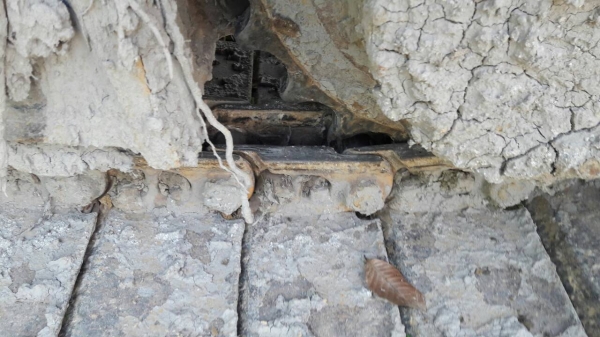 ขายรถแบคโฮ KOBELCO SK100-/// เอกสารอินวอย ระบบไฟเต็ม ราคา 700000