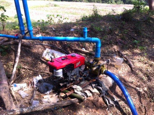 ขายเครื่องยันมาร์ TF85L