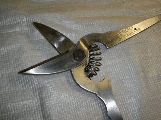 ขายกรรไกรเยอรมัน HAGO GERMAN.