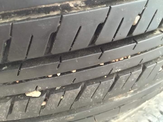 ขายล้อแม็กเชฟ ขอบ16 4 วง ราคา 6,500 บาท ยังไม่ได้ล้าง