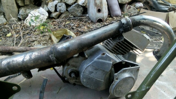 งานสร้างหลังแข็ง