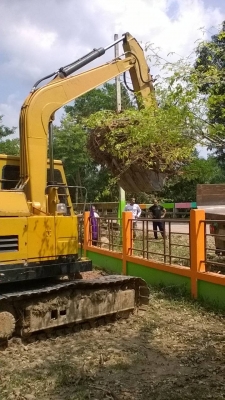 ขายรถแบคโฮ MITSUBISHI MS70-2 ราคา 380000