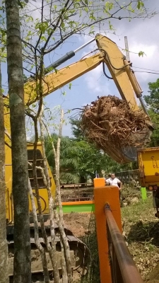 ขายรถแบคโฮ MITSUBISHI MS70-2 ราคา 380000