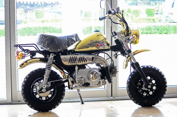 จัดโปรโมชั่น ลดราคาสุดแบบ มโหฬษร มังกี้ กอลิล่า เดิม ราคาสุดๆ เริ่มต้นเพียง 2XXXX  แต่งๆๆ ลดราคาทุกรุ่นและมีของแถมอีกมากมาย  ด่วนๆๆ ลดๆๆ   เริ่มต้นราคา ที