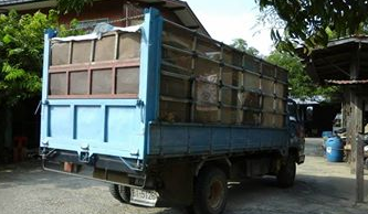 ISUZU. NPR 115. 6ล้อดั๊ม สภาพดืทั้งคัน รถอยู่สระบุรี สนใจติดต่อ 0835601591 หรือ 0903494058