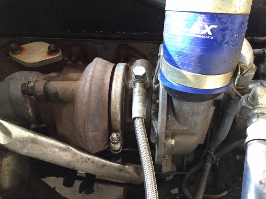 ขายมังกร 4 ขอแท้ ภายในสีน้ำตาล