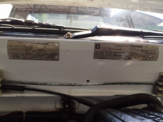 ขายมังกร 4 ขอแท้ ภายในสีน้ำตาล