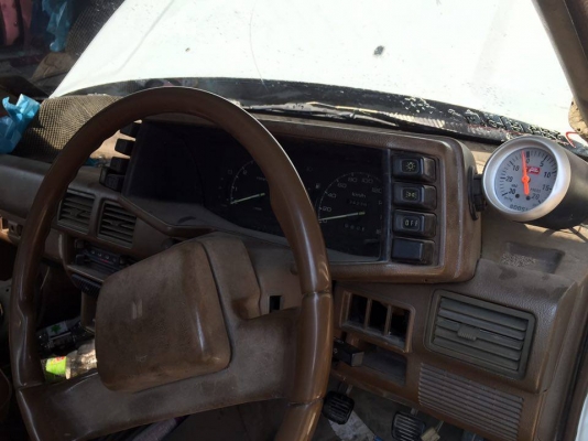 ขายมังกร 4 ขอแท้ ภายในสีน้ำตาล