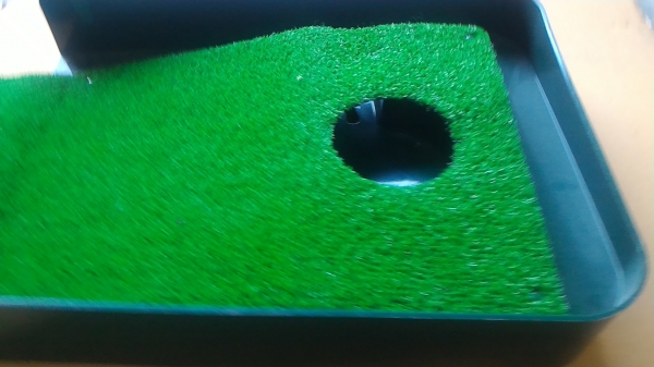 พรมพัตต์กอล์ฟยาวประมาณ 2 เมตร มีรางส่งลูกคืน พืนหนาเหมือนหญ้าจริง