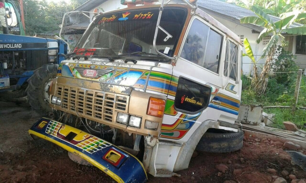 ขายหัวเก็งสามใบปัดhIHO