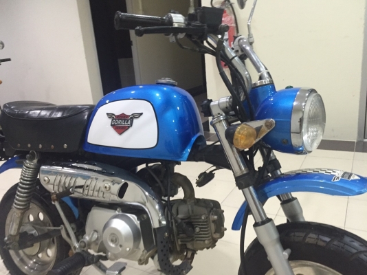 ขายกอลิล่าสีฟ้า 125cc ขายกอลิล่าสีฟ้า 125cc