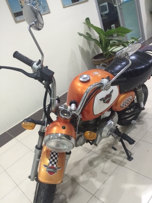 ขายกอลิล่าสีส้ม 125cc