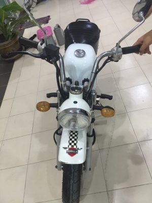 ขายกอลิล่าสีขาว 125cc