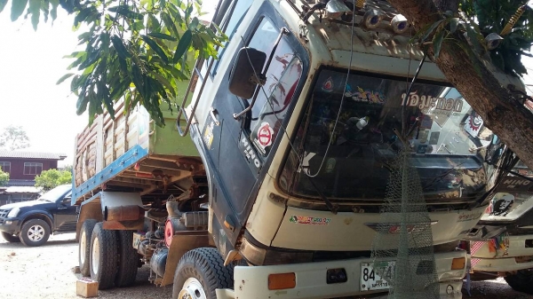 ขายตัด1M  790000  สดเท่านั้น