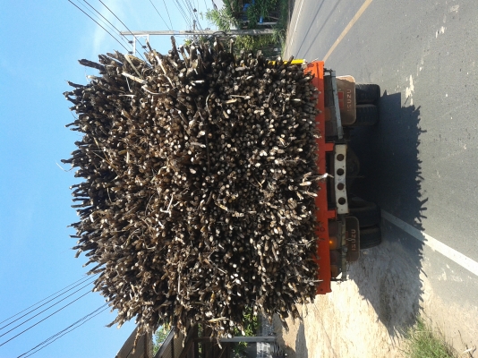 ขาย 6 ล้อหน้ายาว ทะเบียนพร้อมโอน  เครื่องดี คัซซีสวยตลอดเส้น ช่วงล่างใหญ่