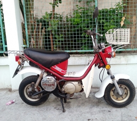 ชิปปี้ Chappy