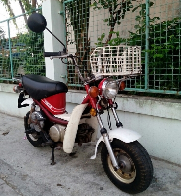 ชิปปี้ Chappy