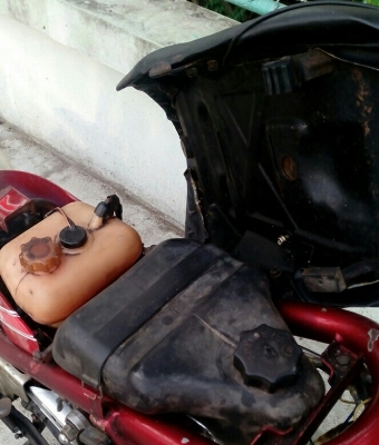 ชิปปี้ Chappy