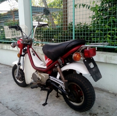 ชิปปี้ Chappy