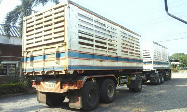 ขายสิบล้อ HINO FM1A 344 ปี53 พ่วงแม่ลูกดั้มคอกเกษตรเหล็ก  รถสวยพร้อมใช้งาน