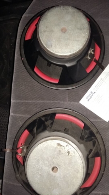 BM Boschmann 12" Subwoofer 500W "RIOT OF BASS"