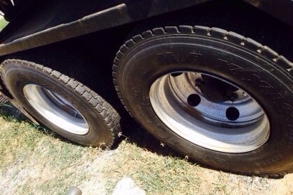 ลูกอ่อน ปี56 งามๆ มาแล้วครับ สนใจ 0817796679 แชมป์ครับ