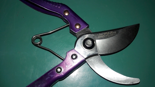 ขายกรรไกรตัดกิ่งไม้ขนาด8นิ้วFUJI Made in Japan.