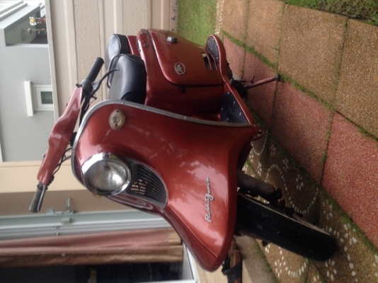 ขาย fuji rabbit ขาย fuji rabbit