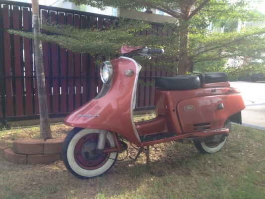 ขาย fuji rabbit