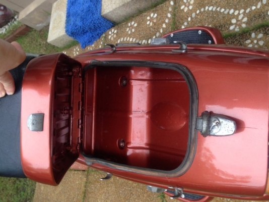 ขาย fuji rabbit ขาย fuji rabbit