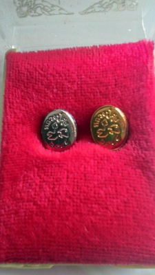 หลวงปู่ศุข  วัดคงสวัสดิ์ ชัยนาท