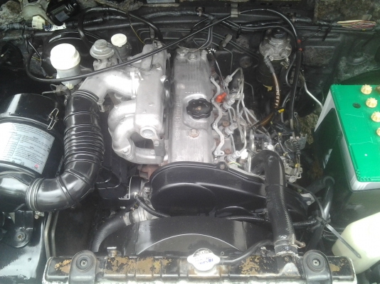 สตร้าด้าตอนเดียวสวยๆพร้อมใช้ สตร้าด้าตอนเดียวสวยๆพร้อมใช้