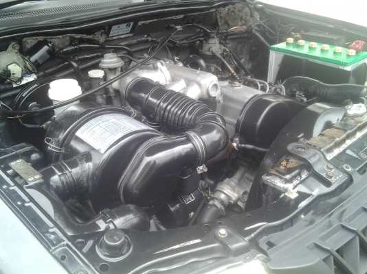 สตร้าด้าตอนเดียวสวยๆพร้อมใช้ สตร้าด้าตอนเดียวสวยๆพร้อมใช้