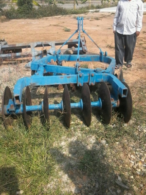 ขายผานตับในไร่อ้อยอย่างดี14ใบ ขายผานตับในไร่อ้อยอย่างดี14ใบ