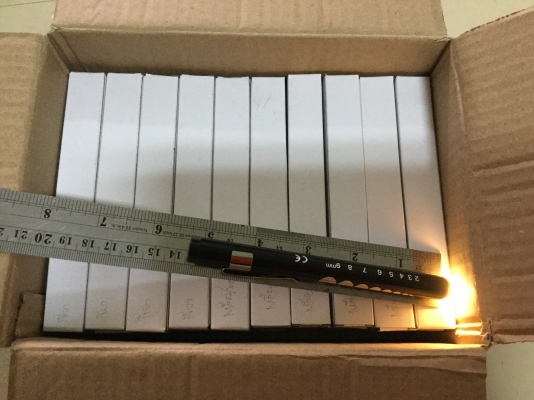 ปากกาไฟฉายส่องรูม่านตา (Penlight)