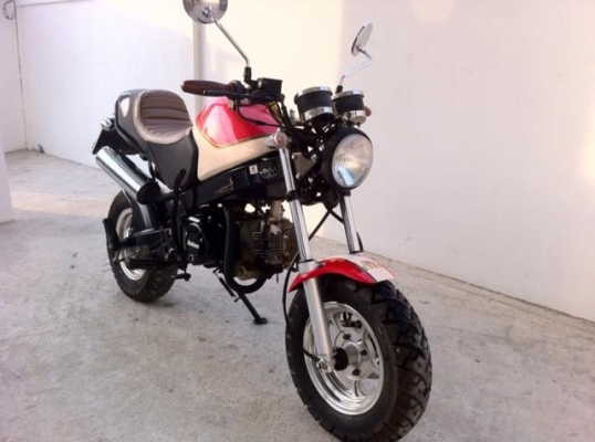 Stallion Solo 125 cc Mini ปี58 สวยใหม่