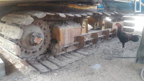 ขายเจ้าช้างไวไฟ รุ่นลุยทุ่ง 2015 รถ 2 ปี เกี่ยวได้ พันกว่าไร่